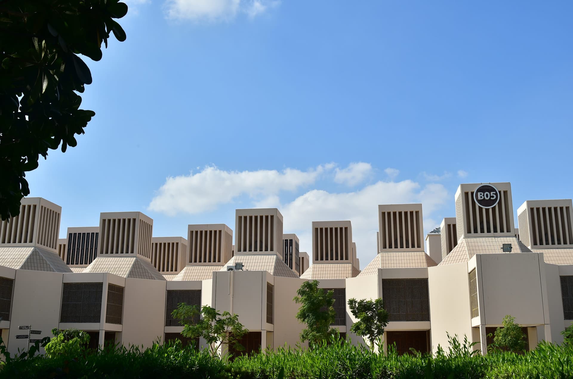 جامعة قطر